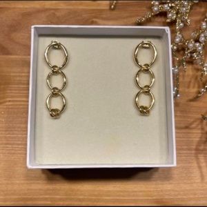Large Oval Chain Earrings